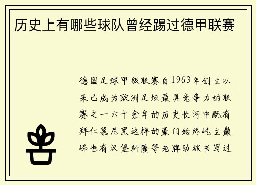 历史上有哪些球队曾经踢过德甲联赛